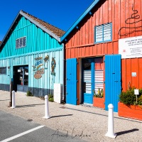 Le Château-d'Oléron: Ballade colorée