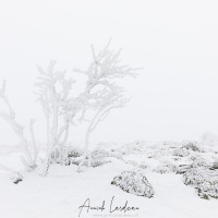 Mont Aigual: vent, neige et givre