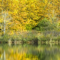 Lac de Virieu