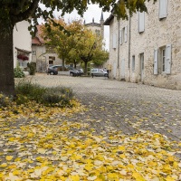 Cité médiévale de Morestel