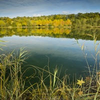 Lac de Virieu