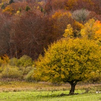 Couleurs d