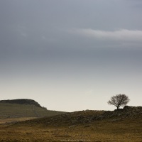 Paysage d'Aubrac par temps pluvieux