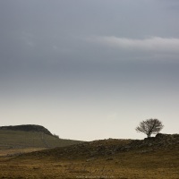 Paysage d