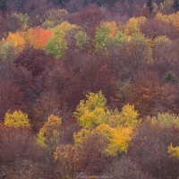 Couleurs d'automne