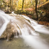 Cascade de Claire Fontaine