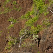 Paysage defalaise