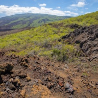 Paysage des Galapagos