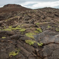 Paysage des Galapagos