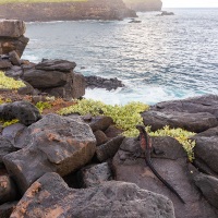Paysage des Galapagos