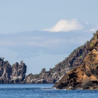 Paysage des Galapagos