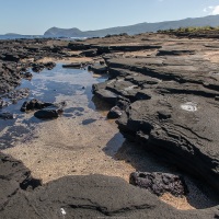 Paysage des Galapagos