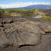 Paysage des Galapagos