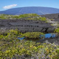 Paysage des Galapagos