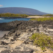 Paysage des Galapagos