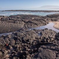 Paysage des Galapagos