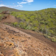 Paysage des Galapagos