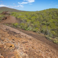 Paysage des Galapagos