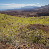 Paysage des Galapagos