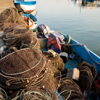 Petit port de pêche dans le delta de l'Axos