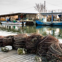 Petit port de pêche dans le delta de l'Axos