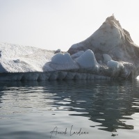 Iceberg, Baie de Disco