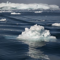 Iceberg, Baie de Disco