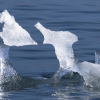 Iceberg, Baie de Disco