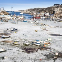 Port d'Ilulissat dans la glace