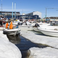 Port d'Ilulissat: bébut de débacle