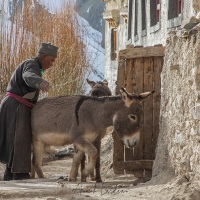 Scène de vie dans le village de Rumbak