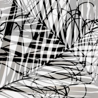 Feuilles de palmier