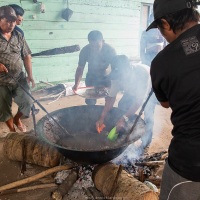 Réduction du lait de coco