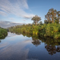 Au fil de la rivière