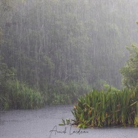 Une pluie diluvienne