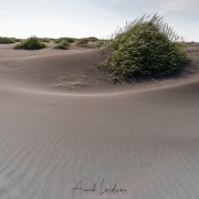 Stokksnes: Dunes de sable noir