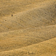 Toscane: chasseur et son chien