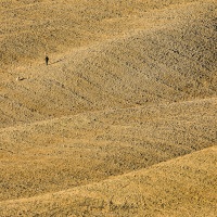 Toscane: chasseur et son chien