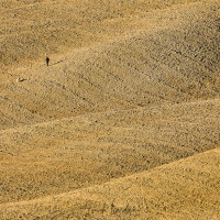 Toscane: chasseur et son chien