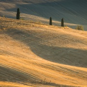 Paysage de Toscane sous la lumière rasante