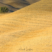 Paysage de Toscane sous la lumière rasante