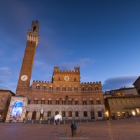 Sienne: Plazza del Campo, le Palazzo Pubblico et sa tour médiévale de 102m