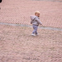 Sienne: scène de vie sur la Piazza del Campo