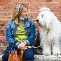 Sienne: une ville à chiens