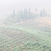 Paysage de Toscane dans la brume matinale