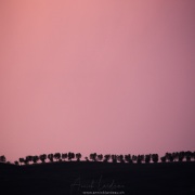 Toscane: coucher de soleil