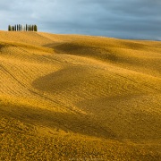 Paysage de Tocscane sous la lumière de fin de journée