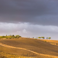 Paysage de Tocscane sous la lumière de fin de journée