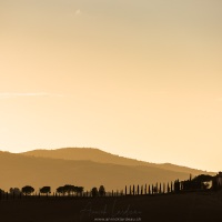 Paysage de Tocscane sous la lumière de fin de journée