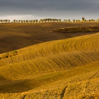 Paysage de Tocscane sous la lumière de fin de journée